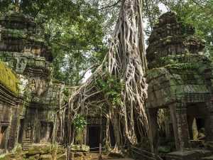 Cambodia tourism