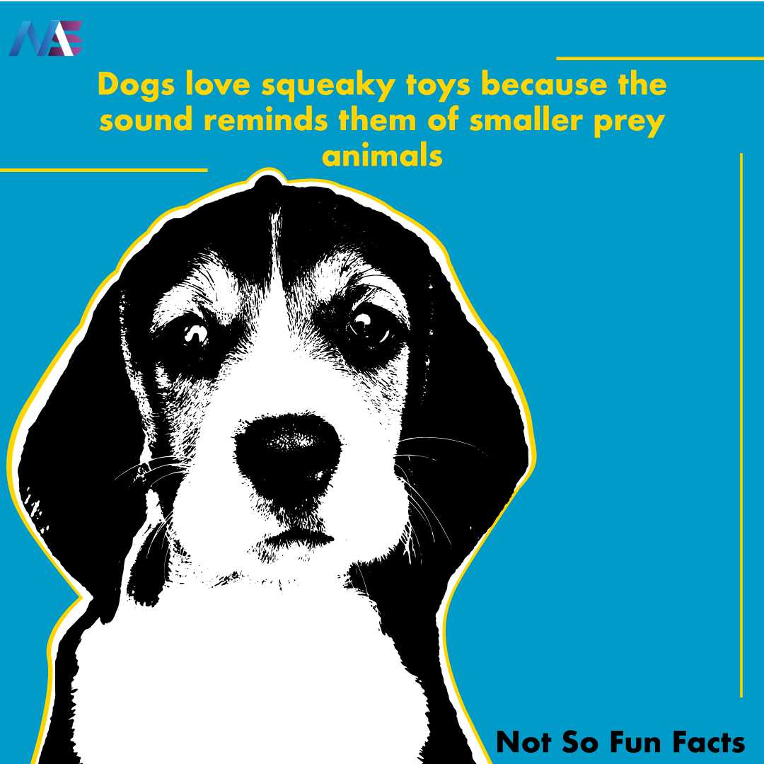 not so fun facts