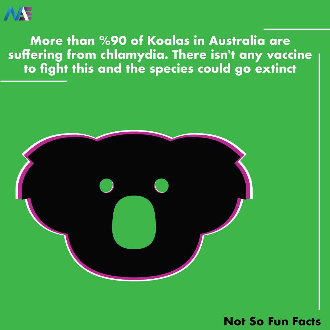 not so fun facts