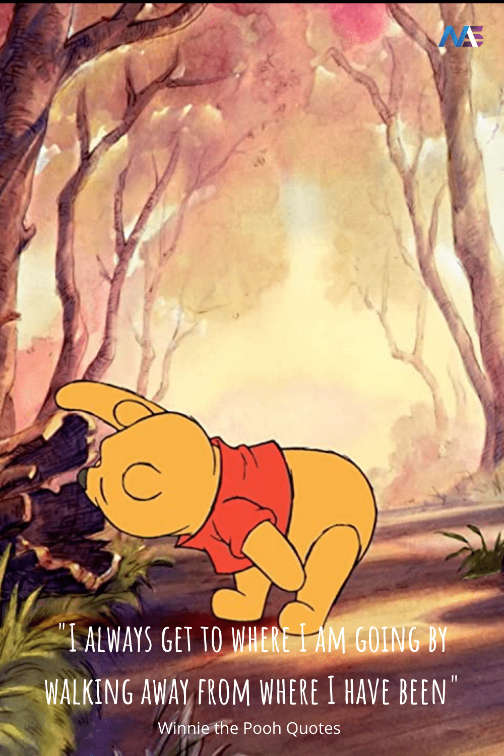 Winnie the pooh Quotes