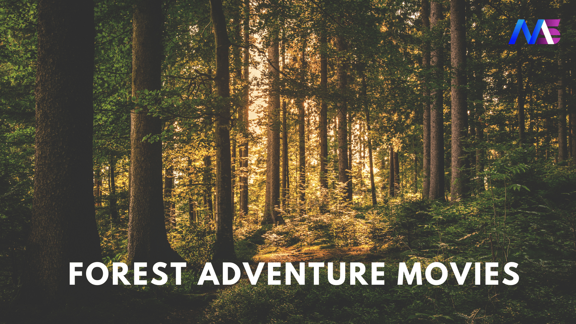 Top 8 Amazing Forest Adventure Movies List You Must Watch - Moodswag